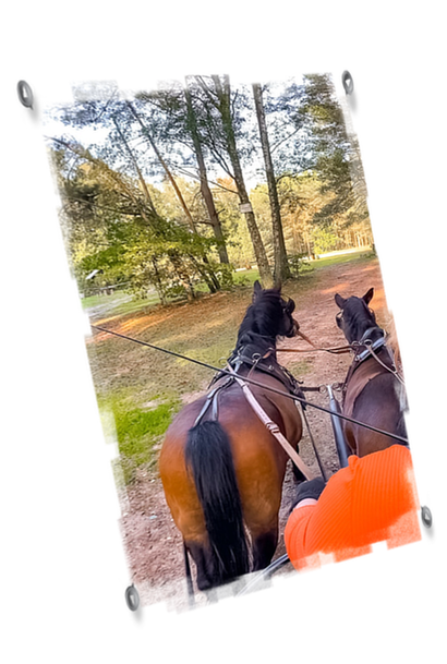 Ponyreiten