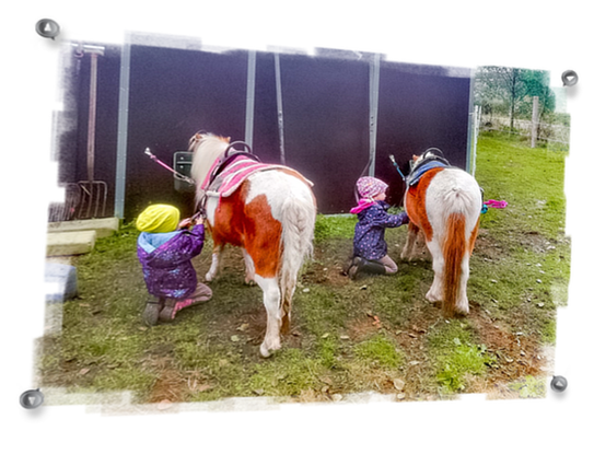 Ponyreiten