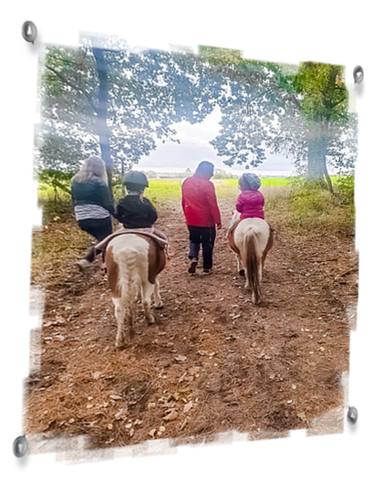 Ponyreiten