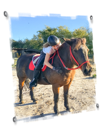 Liebe zum Pferd