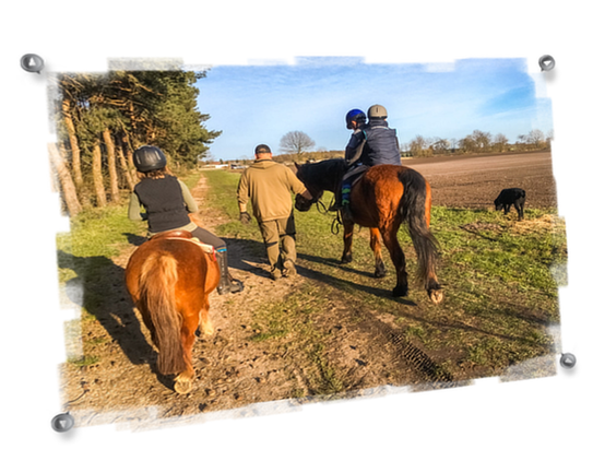 Reiten in der Uckermark