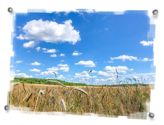 Die Uckermark